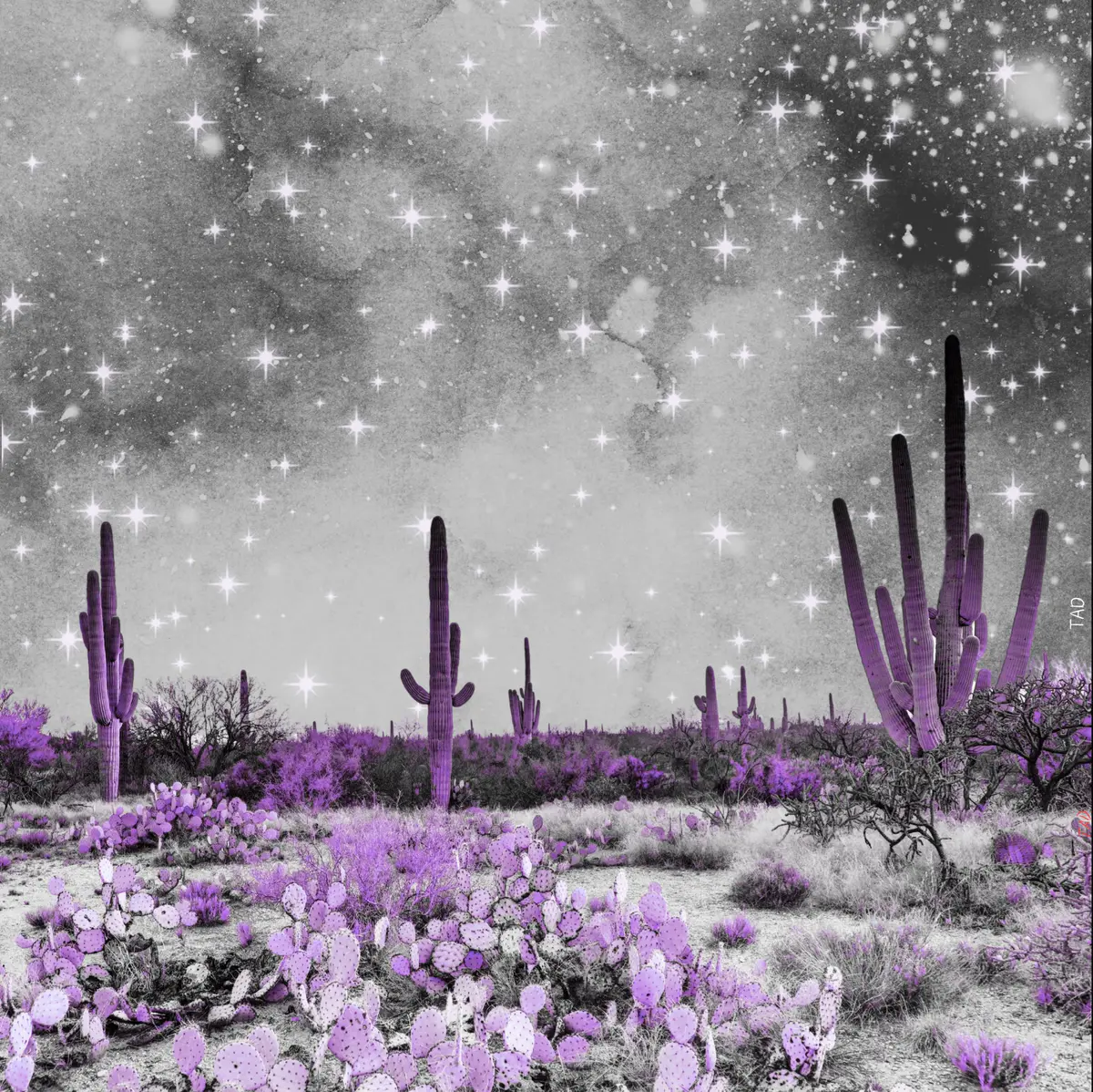 Desert dream digital collage 