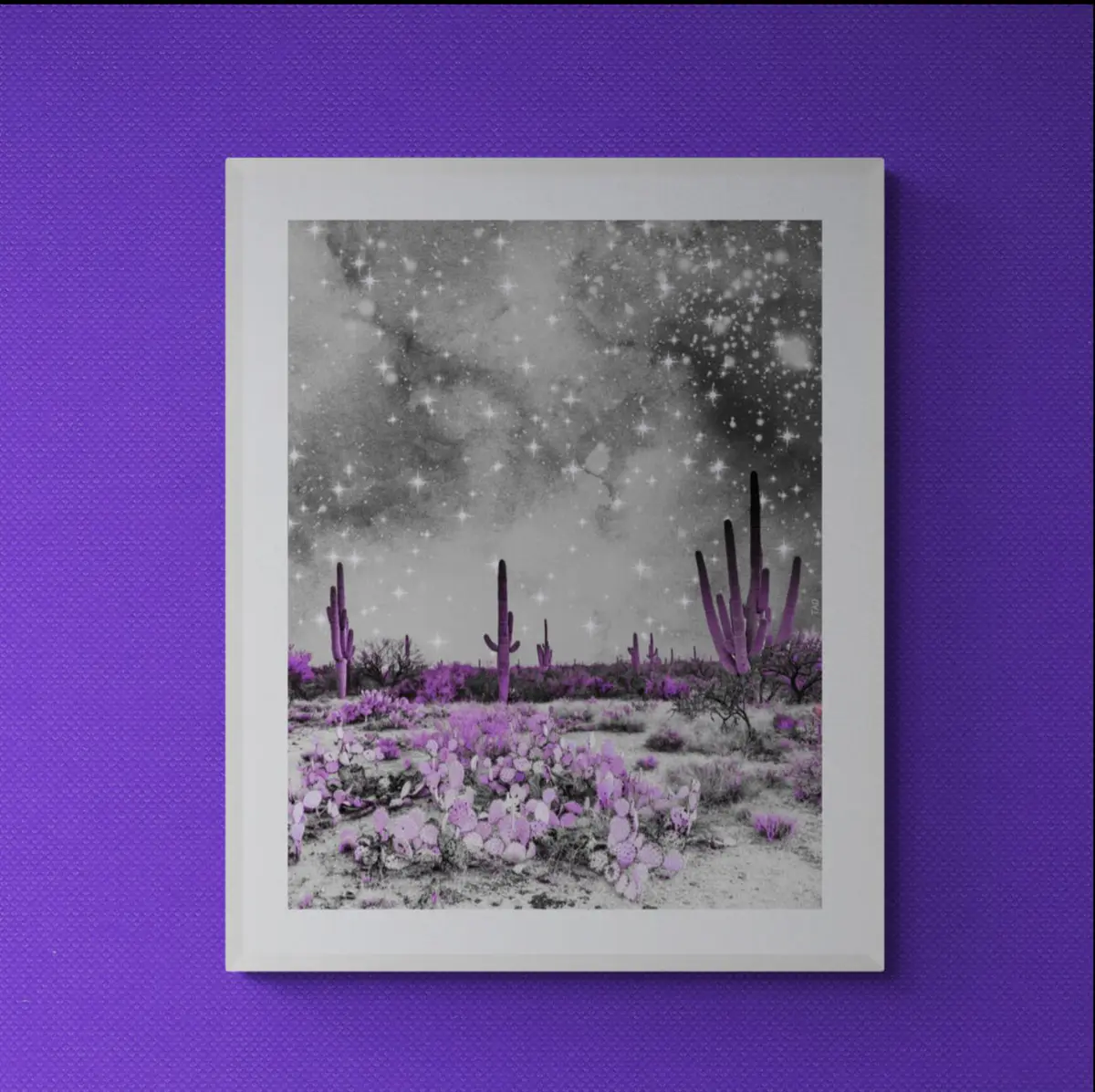 Desert dream digital collage 