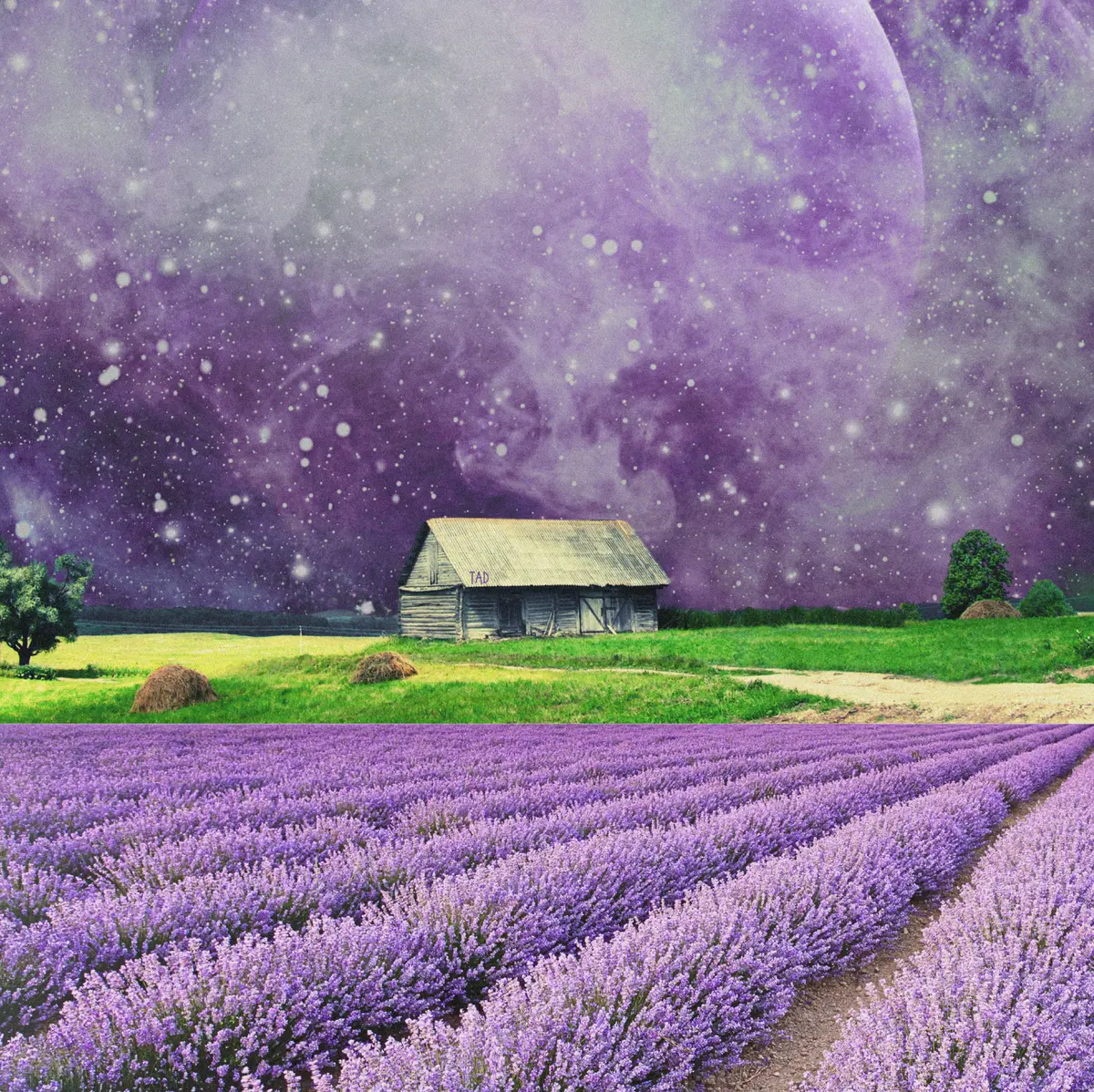 Lavender fields landscape celestial collage